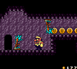 wario2.jpg